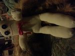 20131028_211527.jpg