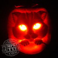 pumpkin twins.jpg