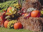 fallpumpk.jpg