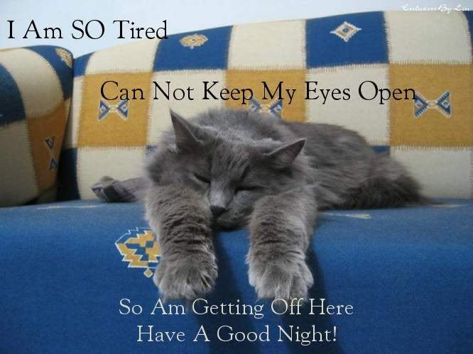 GoodNight.jpg
