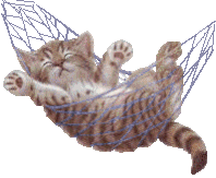 cat hammock.gif