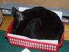 DSCF1034.JPG