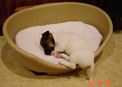 baby Lottie.jpg