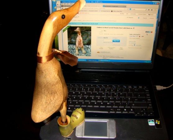 duck bidding.JPG