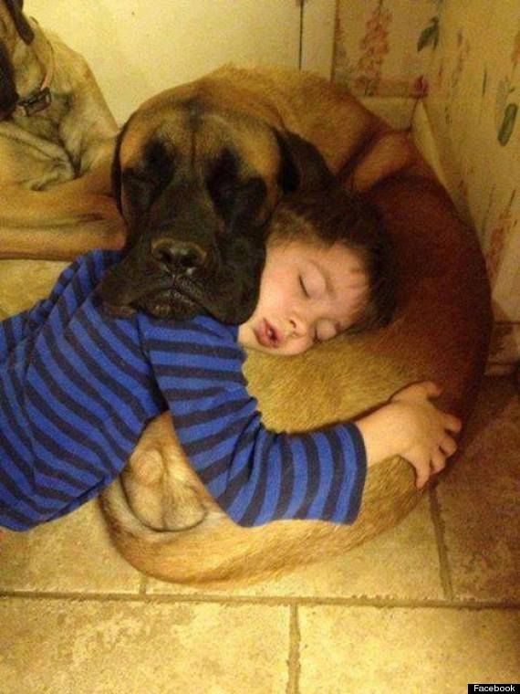 !cid_1_1090490285@web171803_mail_ir2_yahoo.jpg