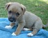 !cid_21_1090490286@web171803_mail_ir2_yahoo.jpg