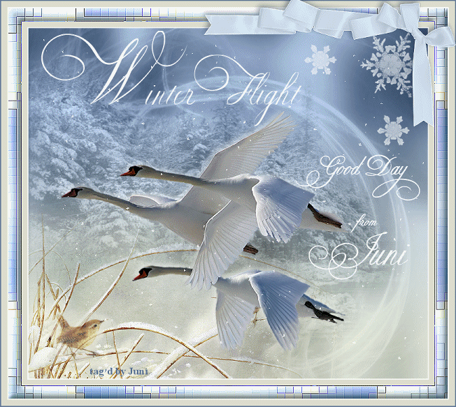 winterflight.gif