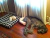 !cid_X_MA2_1383936604@aol.jpg
