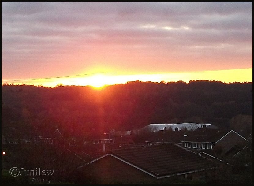 sunsetcndrfrd.jpg