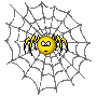 spider.gif