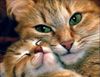 !cid_22_2175023509@web142703_mail_bf1_yahoo.jpg