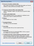 2013-12-10 01_19_53-Delete Browsing History.jpg