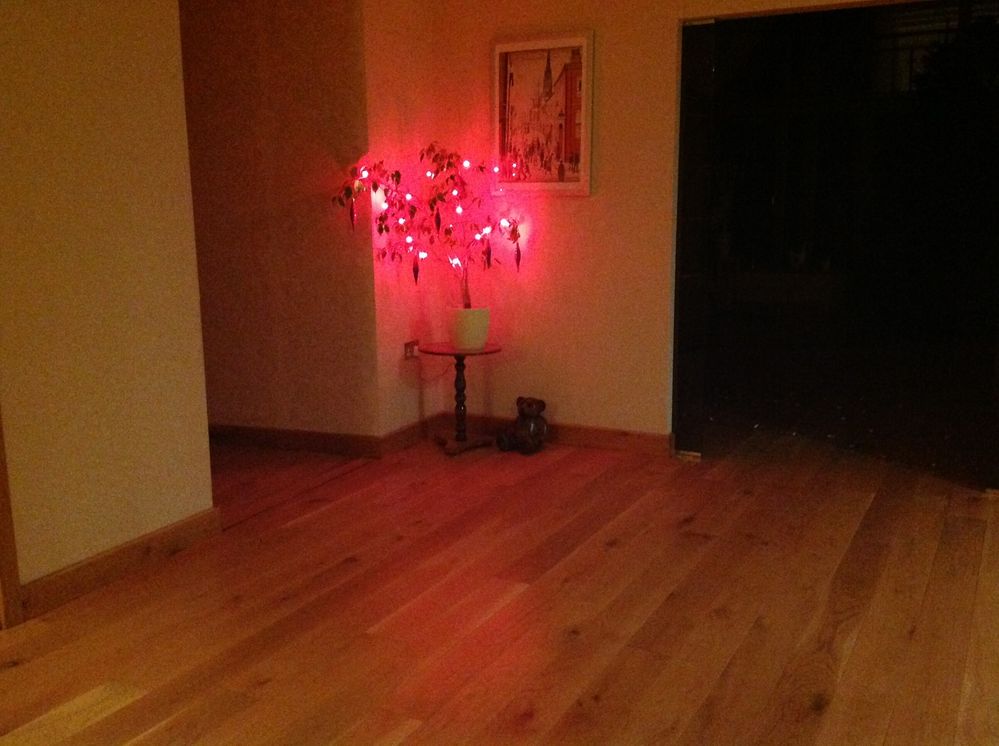 lights3.JPG