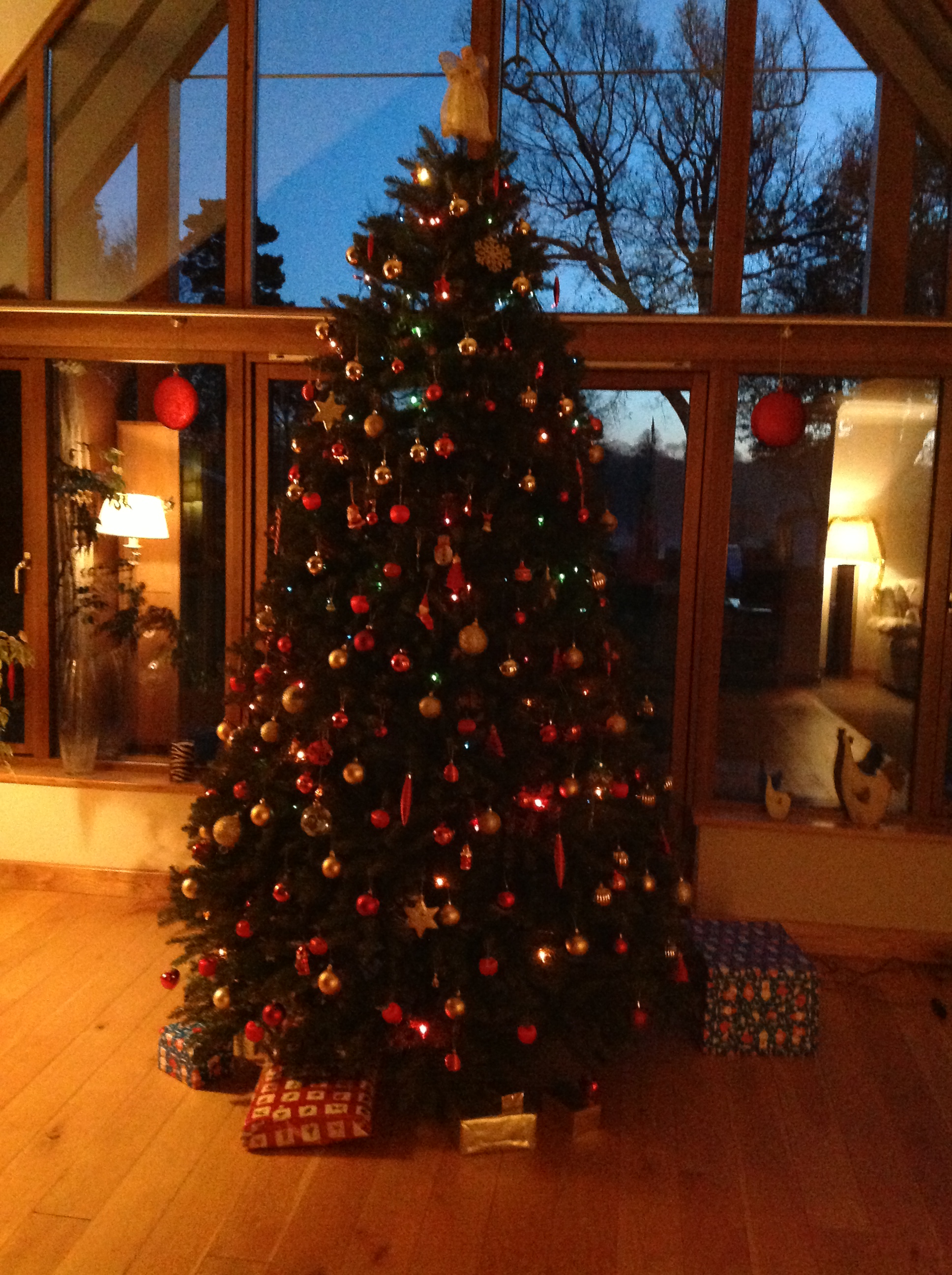 tree 2013.JPG