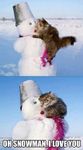 cat&snowman.jpg