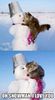 cat&snowman.jpg