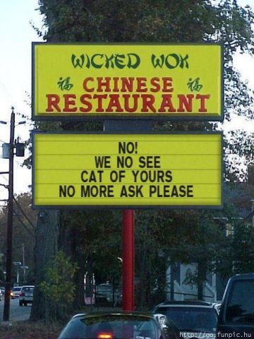 no cats here.jpg