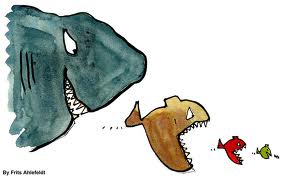 sharks.jpg
