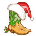 cowboy boots.jpg