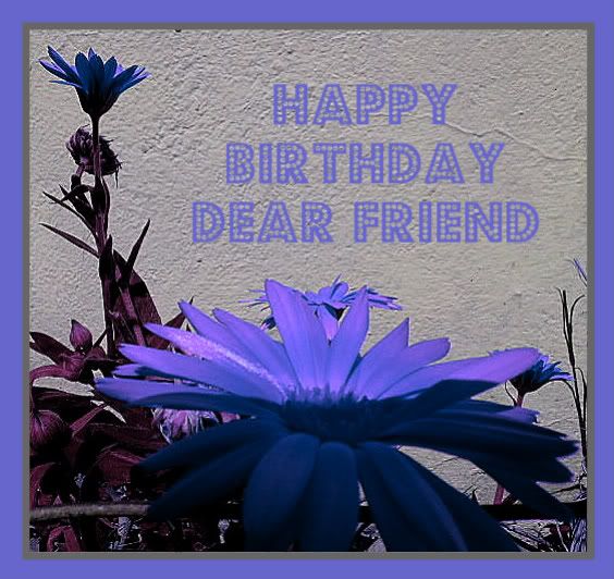 happy birthday Sue.jpg
