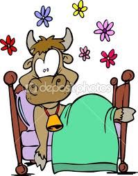 cow in bed.jpg