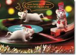 mice 3.jpg