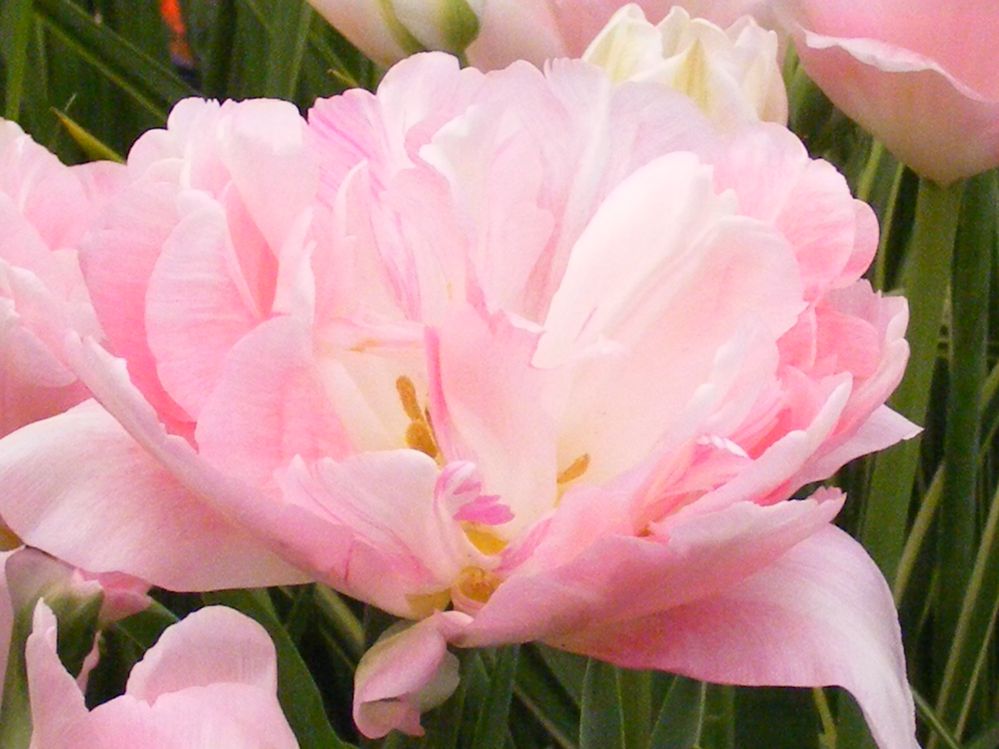 DSCF1279.JPG