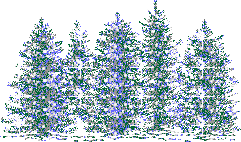 t07176.gif