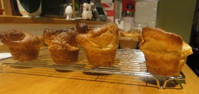 Yorkies 005.JPG