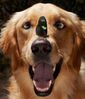 !cid_13_3105827972@web142701_mail_bf1_yahoo.jpg