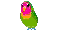 bird-vi[1].gif