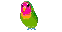 bird-vi[1].gif