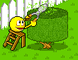 bay tree cutter smiley.gif