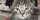 headphone-cat.gif