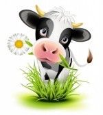 moo.jpg