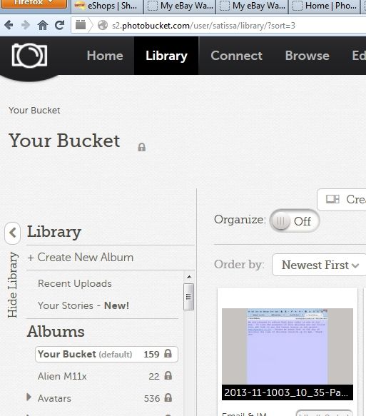 2014-01-23 21_33_59-P's bucket.jpg