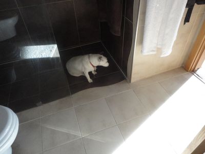 lottie 001.JPG