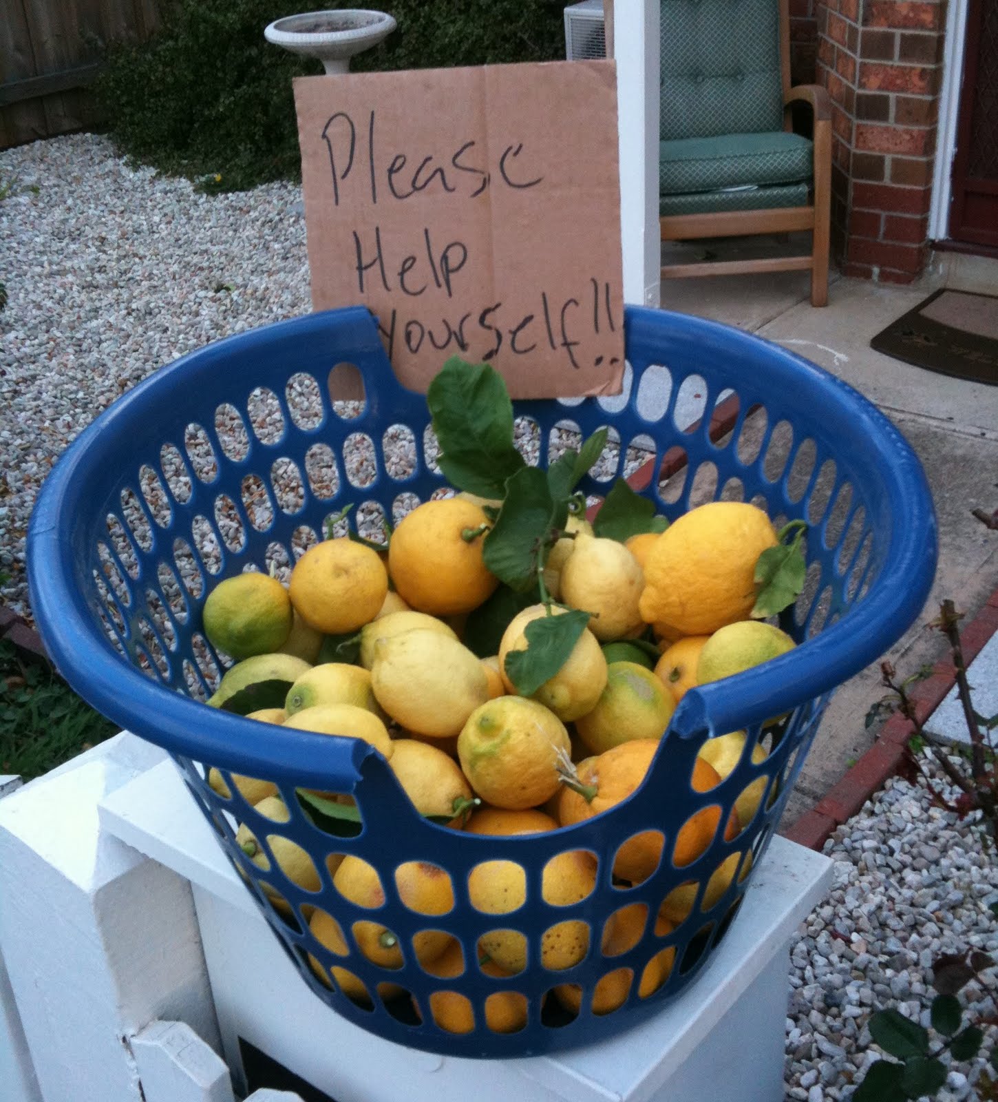 Lemons help yourself.JPG