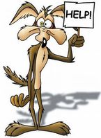 coyote.jpg