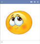 shy smilie.png