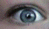 eye