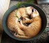bth_catsCAKIR3TC.jpg