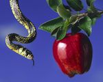 apple-and-snake_1280x1024_2988.jpg