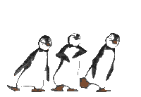DancingPenquinsLt.gif