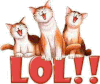 !cid_X_MA1_1355011754@aol.gif