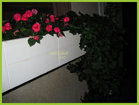 window box- garage.jpg