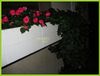 window box- garage.jpg
