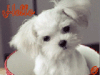 th_08j0NK3by.gif