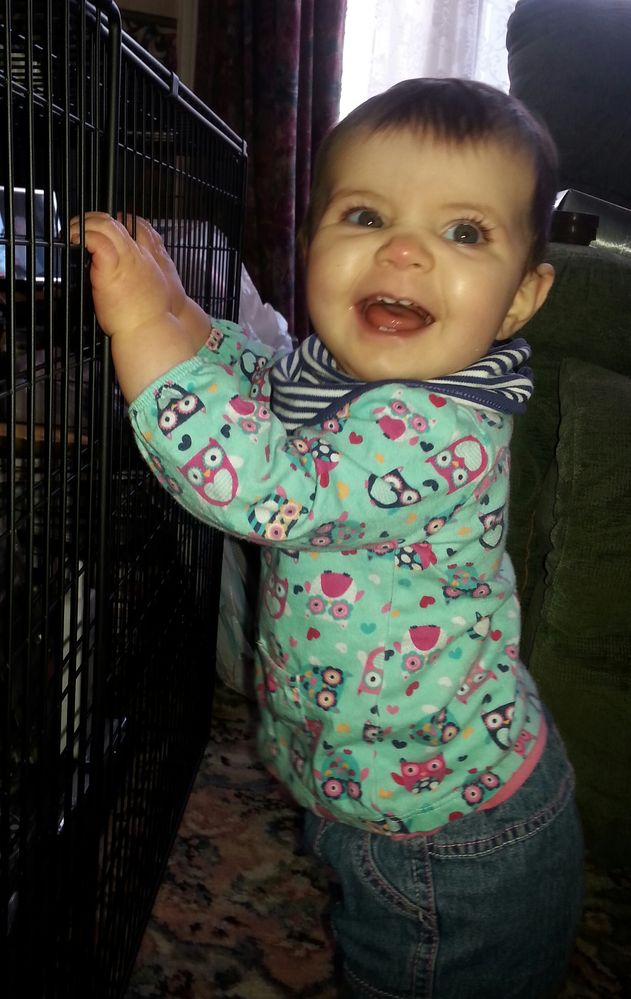 20140213_124105-1.jpg
