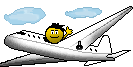 FlyingSmiley.gif